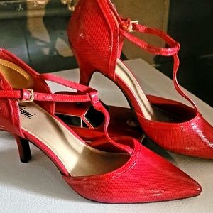 RED Career Type Pump